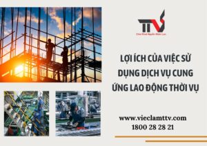 cung ứng lao động thời vụ