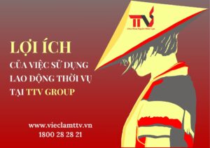 CUNG ỨNG LAO ĐỘNG THỜI VỤ