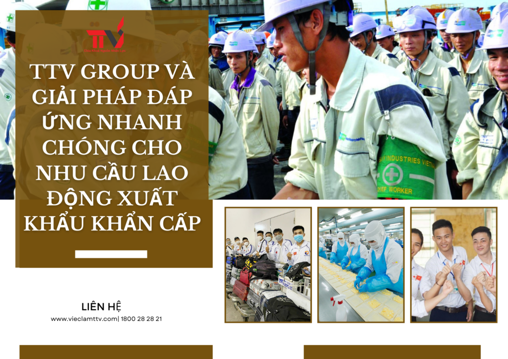 cung ứng lao động xuất khẩu