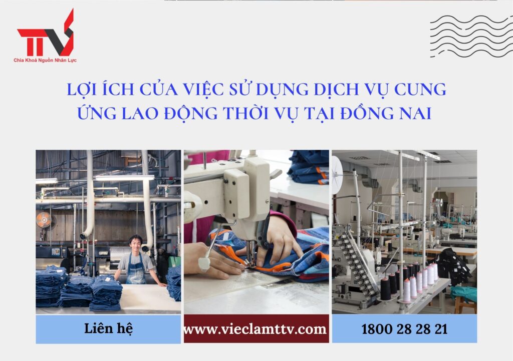 CUNG ỨNG LAO ĐỘNG THỜI VỤ