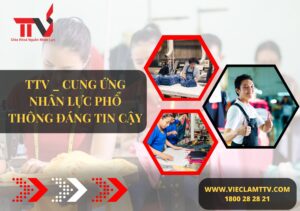 Cung ứng nhân lực phổ thông