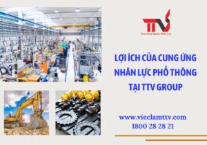 cung ứng nhân lực phổ thông