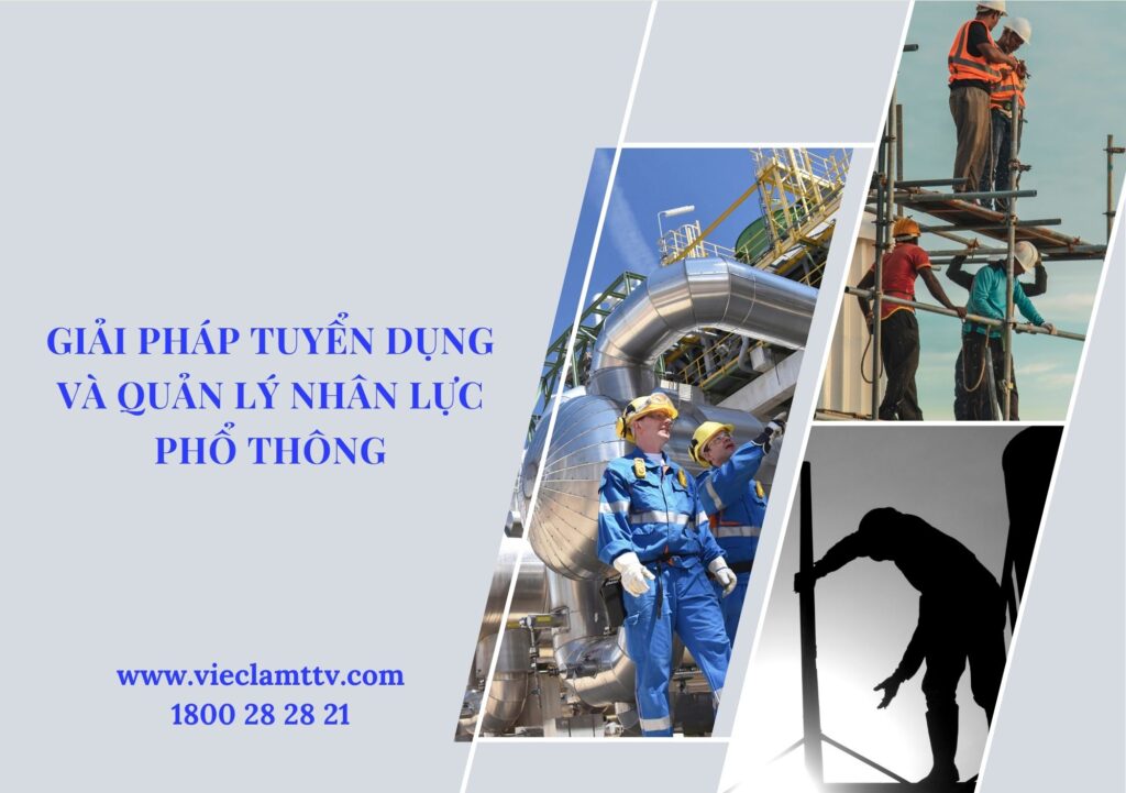 cung ứng nhân lực phổ thông