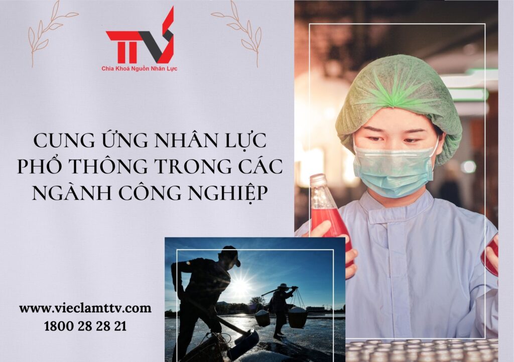 cung ứng nhân lực phổ thông