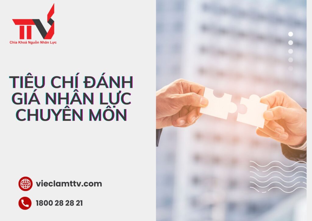 Tiêu chí đánh giá nhân lực chuyên môn
