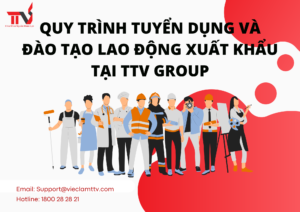 Quy trình tuyển dụng và đào tạo lao động xuất khẩu tại TTV GROUP