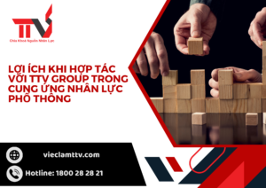 LỢI ÍCH KHI HỢP TÁC VỚI TTV GROUP TRONG CUNG ỨNG NHÂN LỰC PHỔ THÔNG