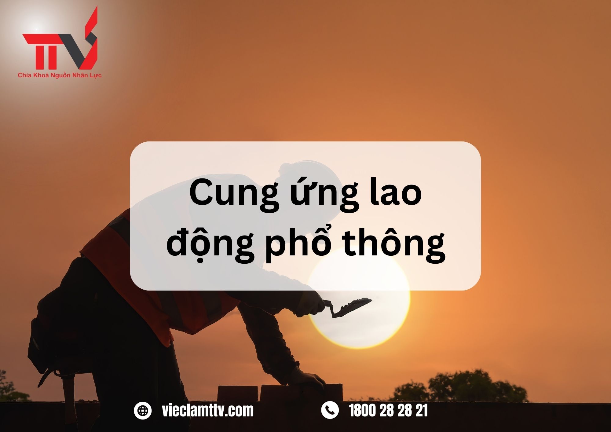 TTV Group và những xu hướng mới trong cung ứng nhân lực phổ thông đáp ứng yêu cầu của thị trường lao động