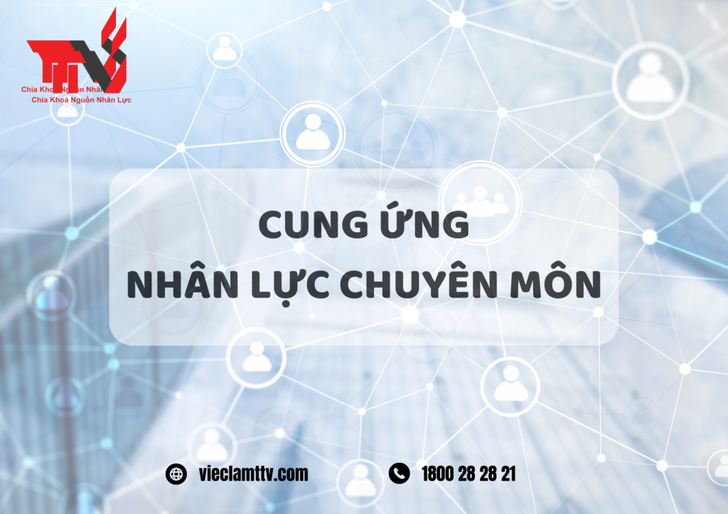 TTV Group và sự phát triển bền vững trong cung ứng nhân lực chuyên môn.