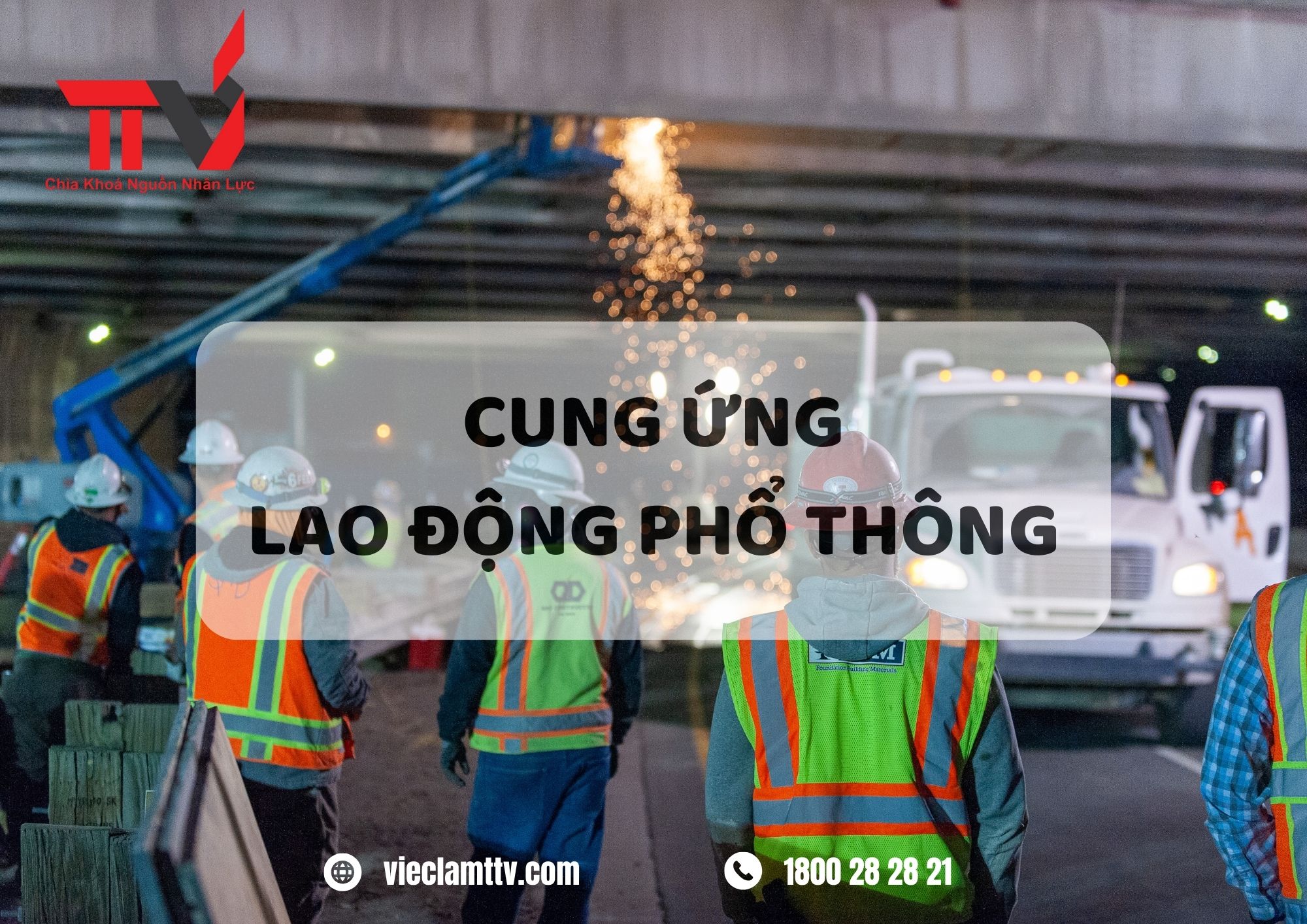 TTV Group và những chiến lược phát triển dài hạn trong cung ứng nhân lực phổ thông