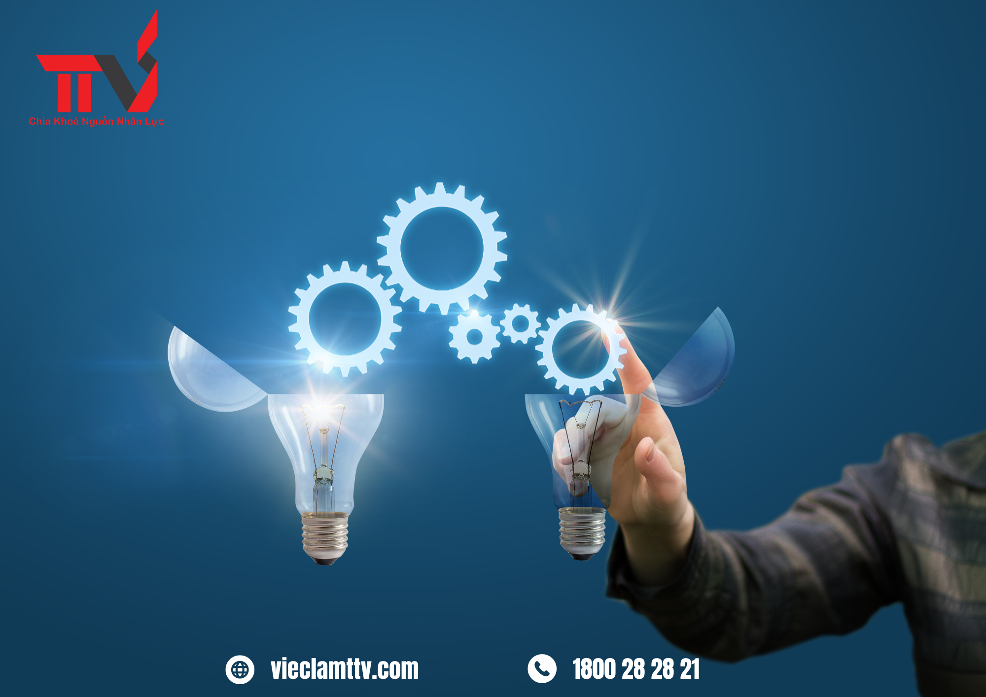 TTV Group và xu hướng mới trong cung ứng nhân lực chuyên môn