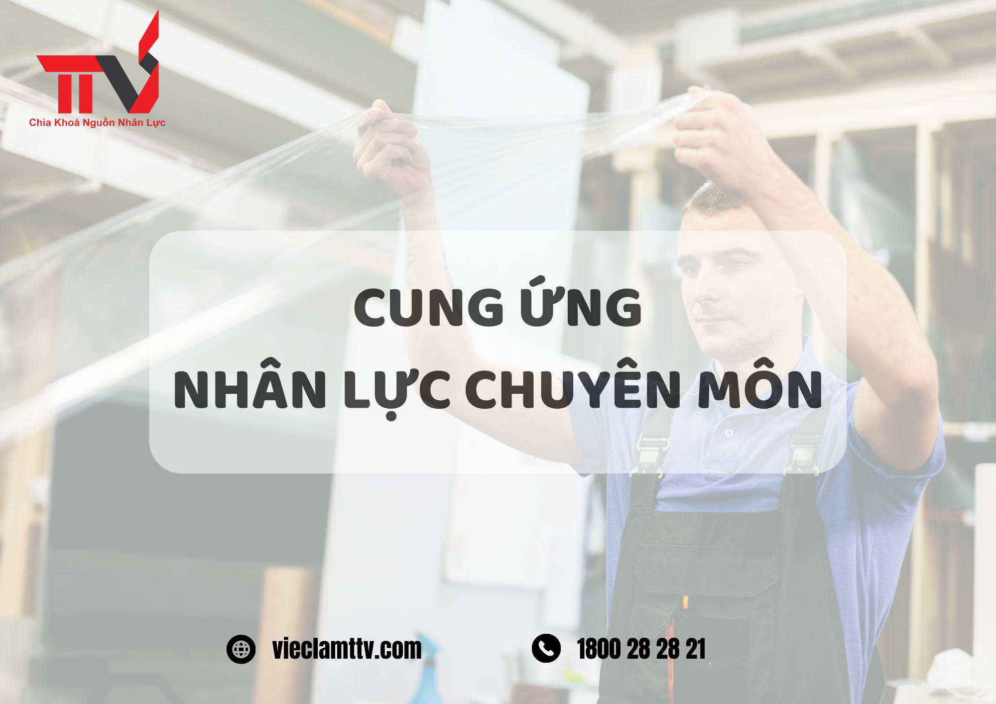 TTV Group và xu hướng mới trong cung ứng nhân lực chuyên môn