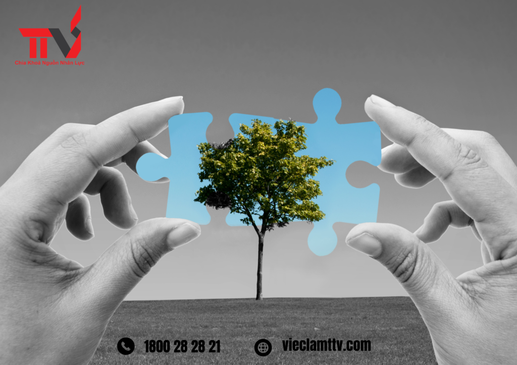 KỸ NĂNG VÀ TRÌNH ĐỘ