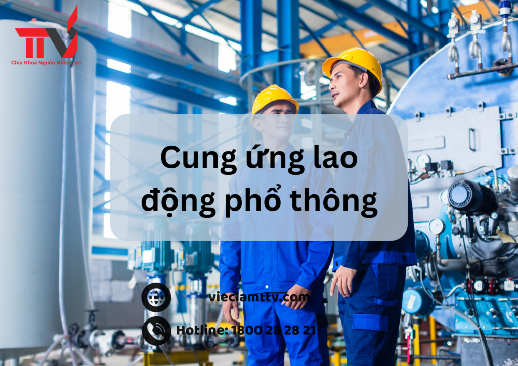 NHÂN LỰC PHỔ THÔNG