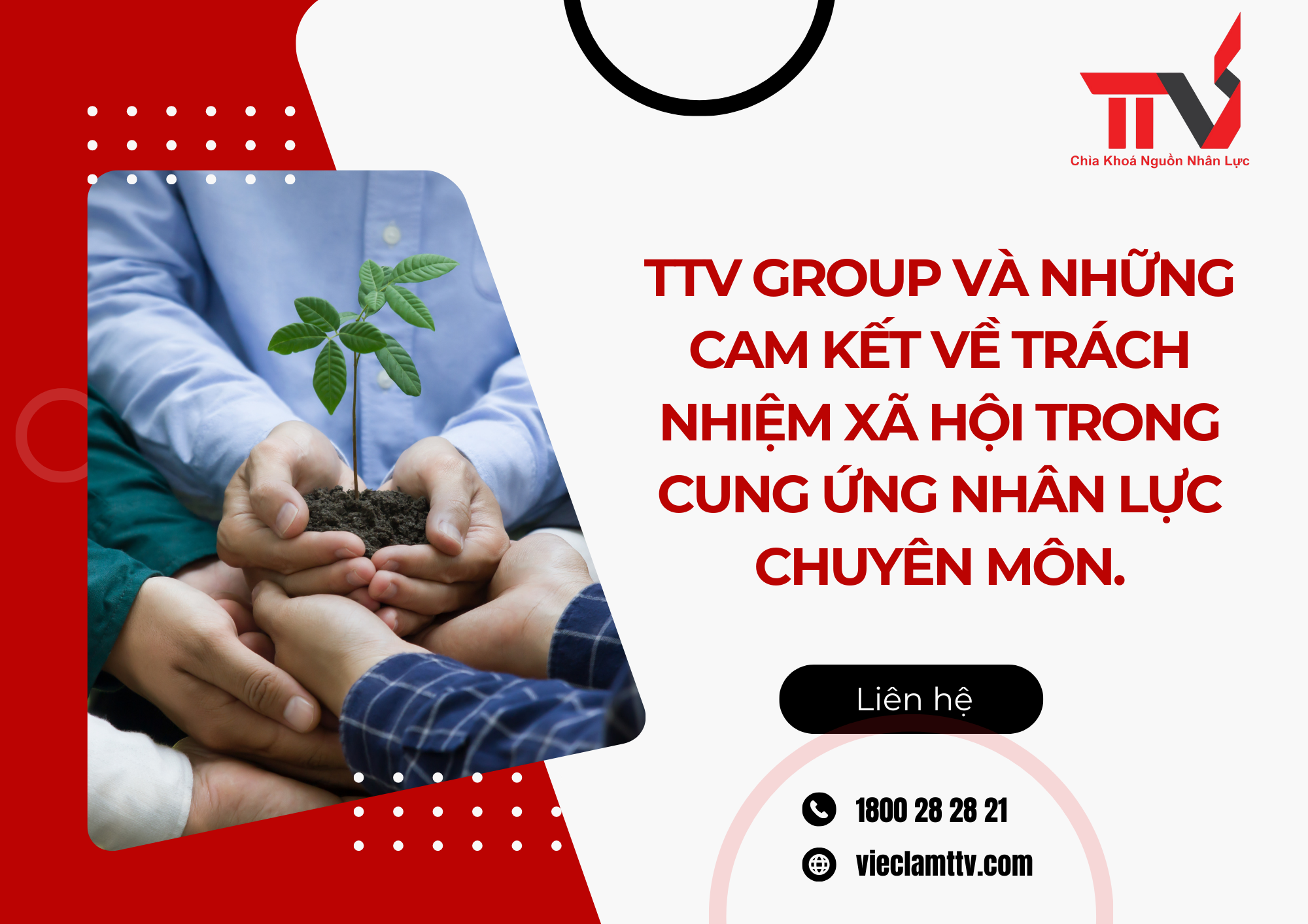 TTV Group và những cam kết về trách nhiệm xã hội trong cung ứng nhân lực chuyên môn