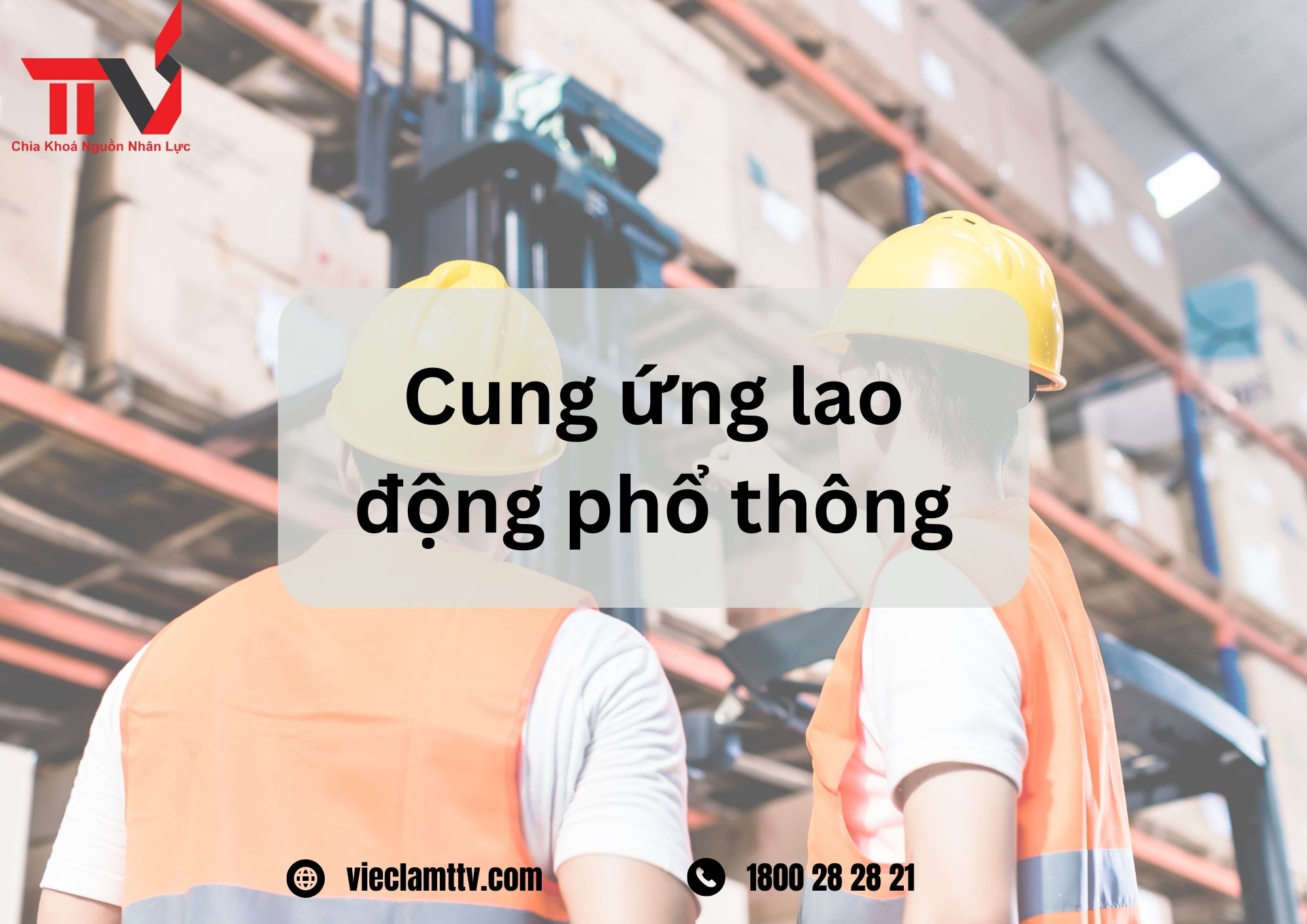 TTV Group và những chiến lược tiếp thị và quảng bá thương hiệu trong lĩnh vực cung ứng nhân lực phổ thông