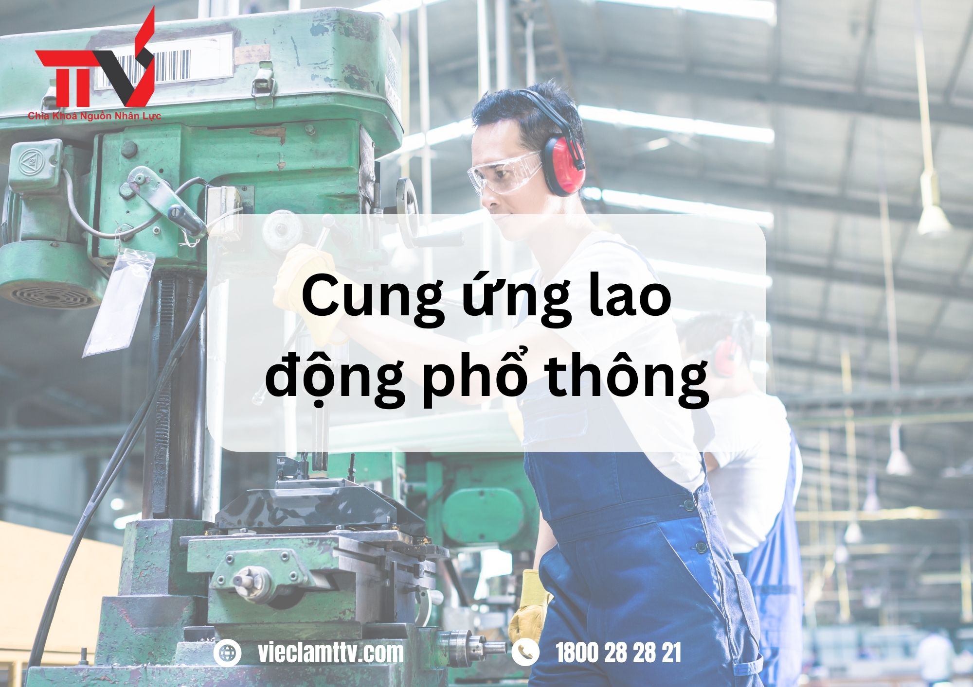 TTV Group và những chương trình khuyến khích và động viên nhân lực phổ thông để nâng cao năng suất làm việc