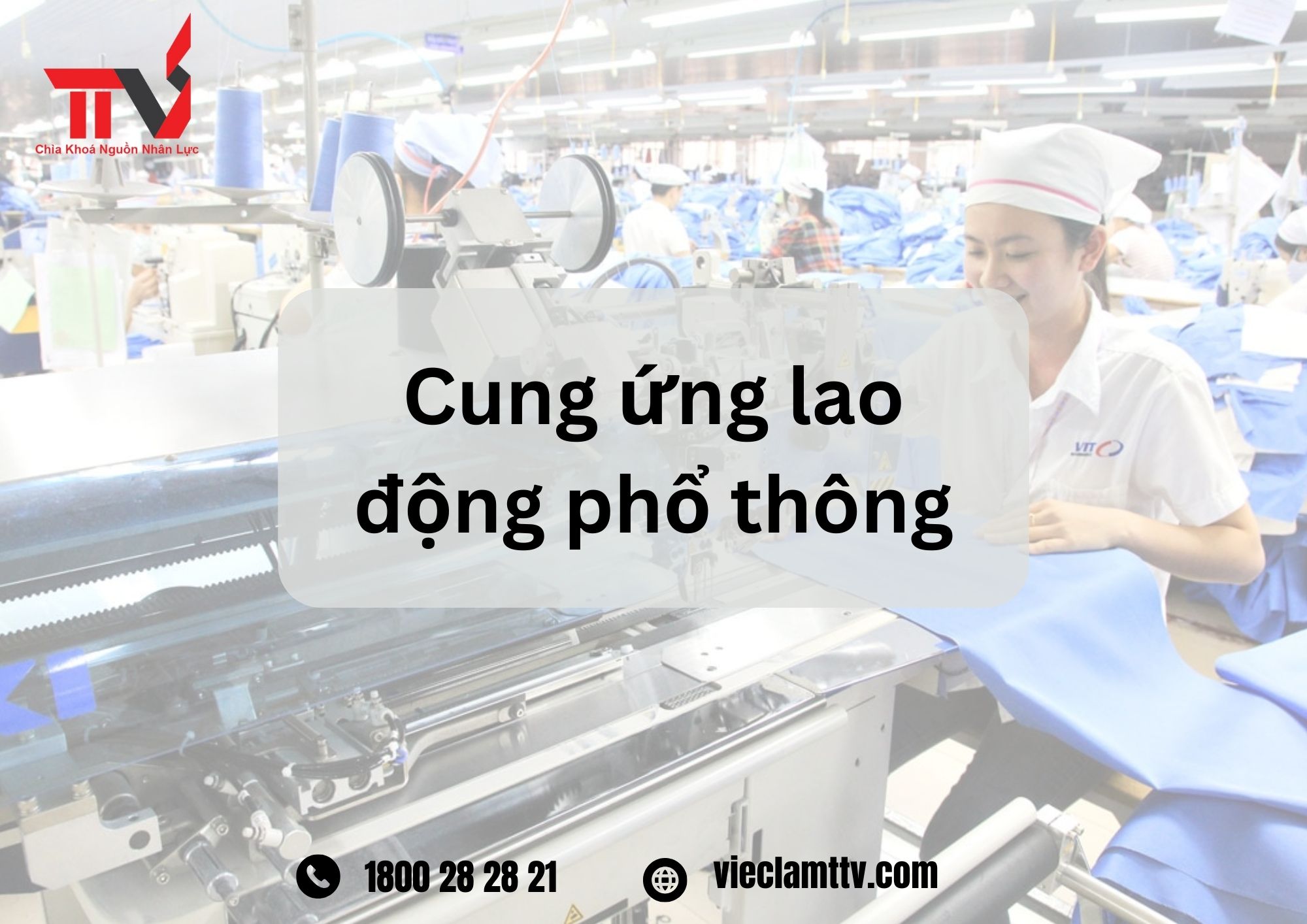 TTV Group và những dự án xã hội mang tính nhân văn trong cung ứng nhân lực phổ thông