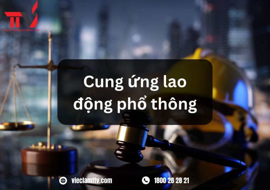 KỸ NĂNG VÀ TRÌNH ĐỘ