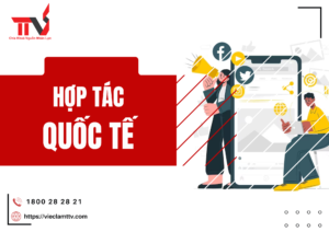 TTV Group và những hợp tác quốc tế