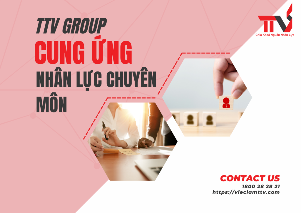 TTV Group và những thành công trong cung ứng nhân lực chuyên môn