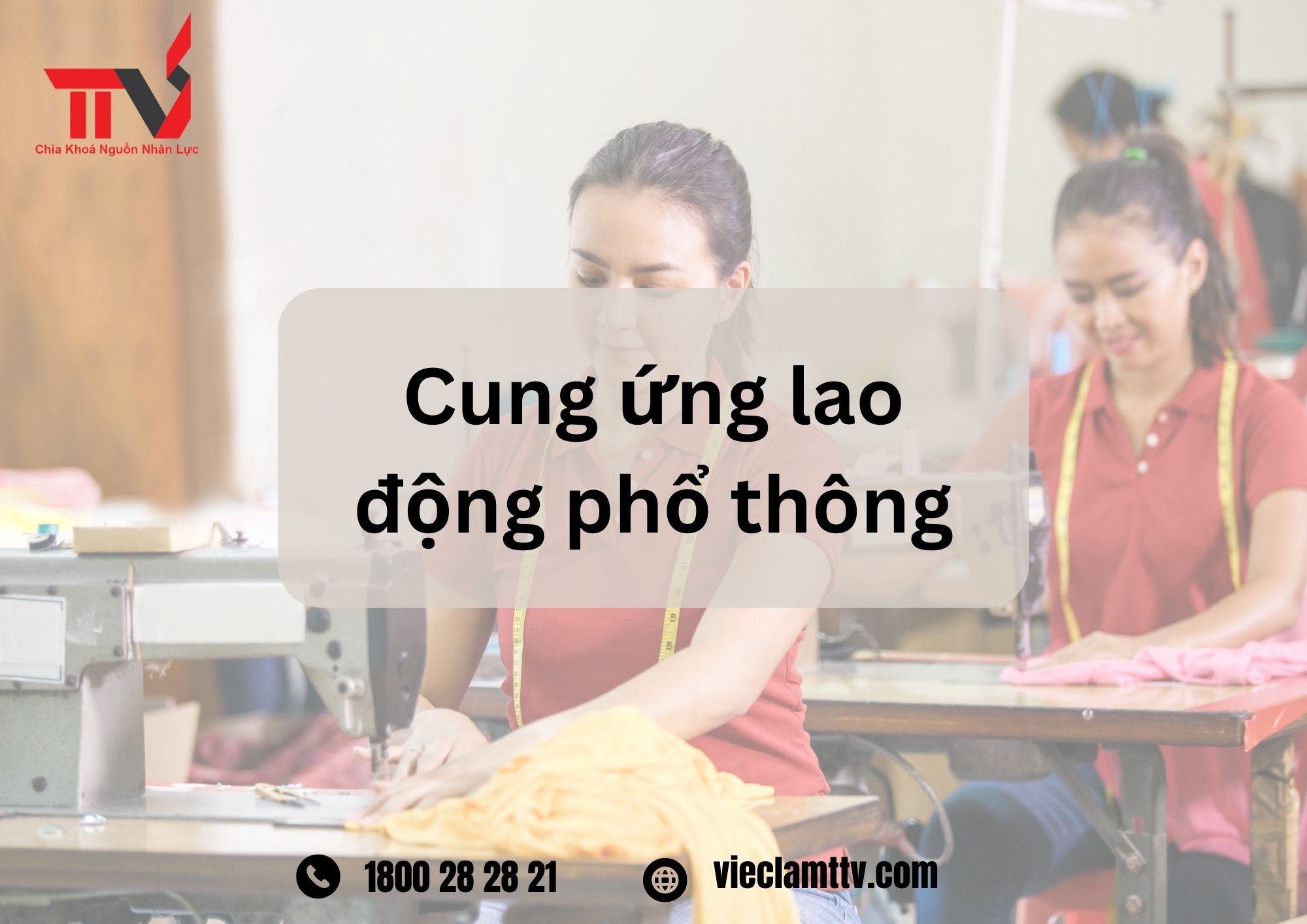 TTV Group và những tiêu chuẩn và quy định quốc tế trong cung ứng nhân lực phổ thông