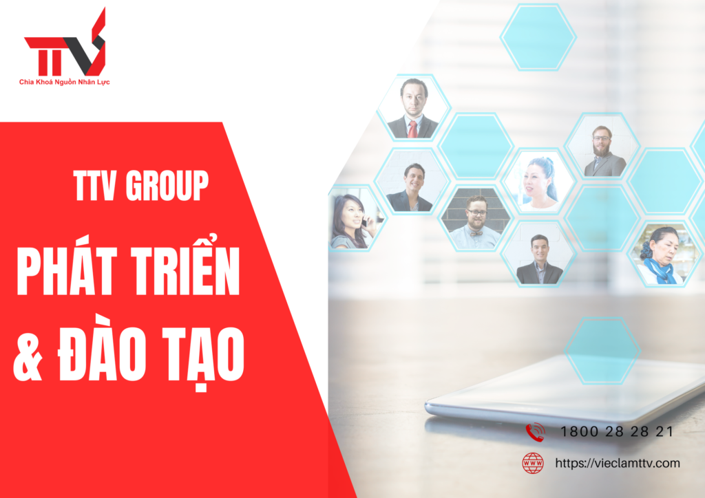 TTV Group và vai trò của công ty trong việc phát triển và đào tạo nhân lực chuyên môn