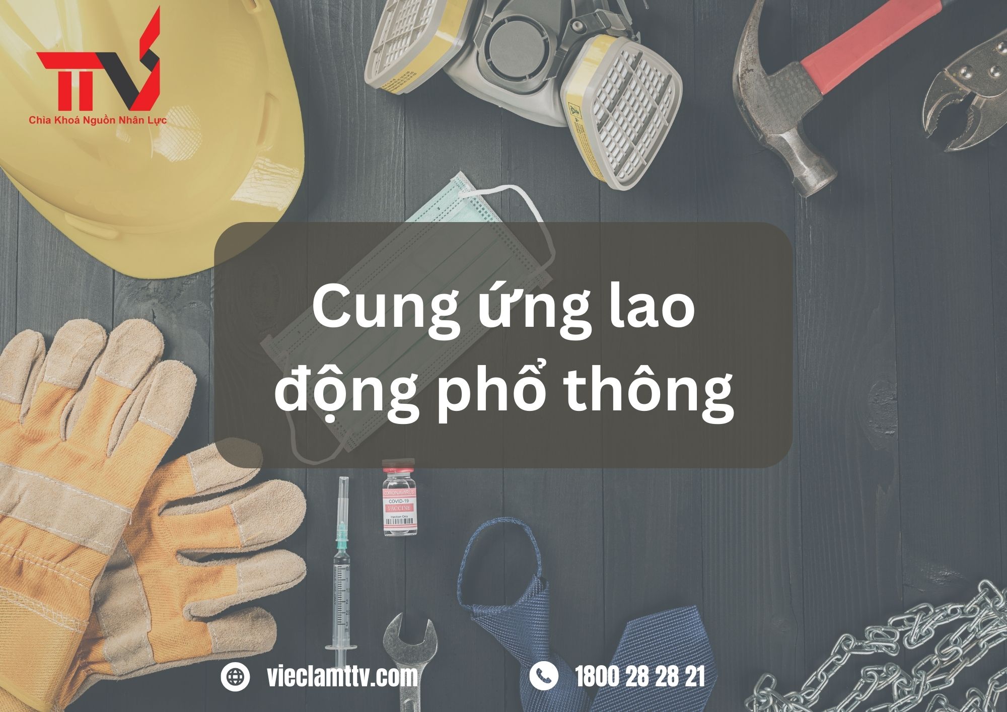 TTV Group và vai trò của công ty trong việc xây dựng đội ngũ nhân lực phổ thông đa dạng và bình đẳng