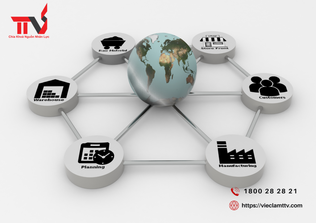 Giới thiệu về các dịch vụ cung ứng lao động của TTV Group