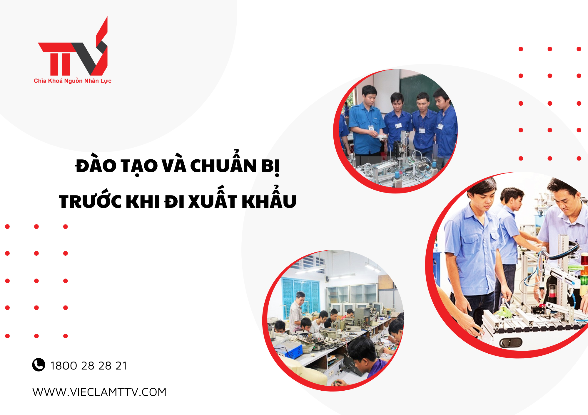 Đào tạo và chuẩn bị trước khi đi xuất khẩu của TTV Group