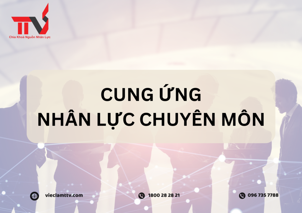 Chính sách khuyến khích sáng tạo và đóng góp của nhân lực chuyên môn