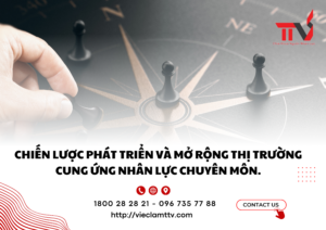 Mở rộng thị trường và chiến lược phát triển