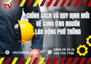CÁC CHÍNH SÁCH VÀ QUY ĐỊNH MỚI VỀ CUNG ỨNG NGUỒN LAO ĐỘNG PHỔ THÔNG TỪ PHÍA CHÍNH PHỦ VÀ CÁC TỔ CHỨC LIÊN QUAN