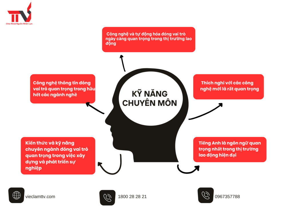 Kỹ năng cần thiết cho ứng viên trong thị trường lao động hiện đại