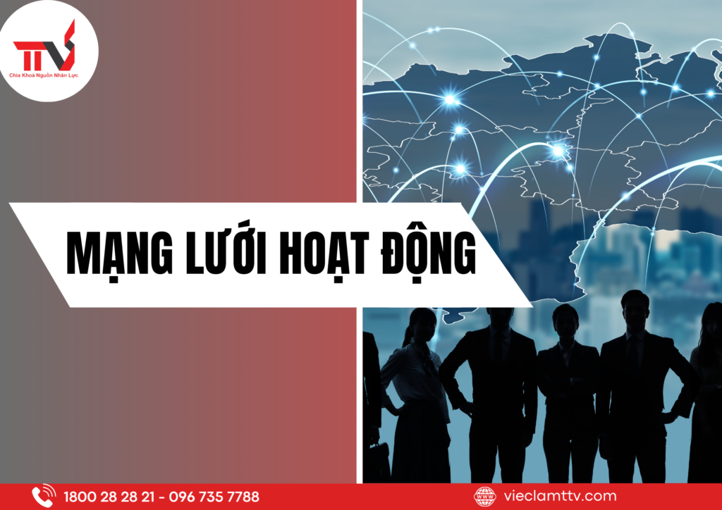 Dịch vụ cung ứng lao động TTV Group