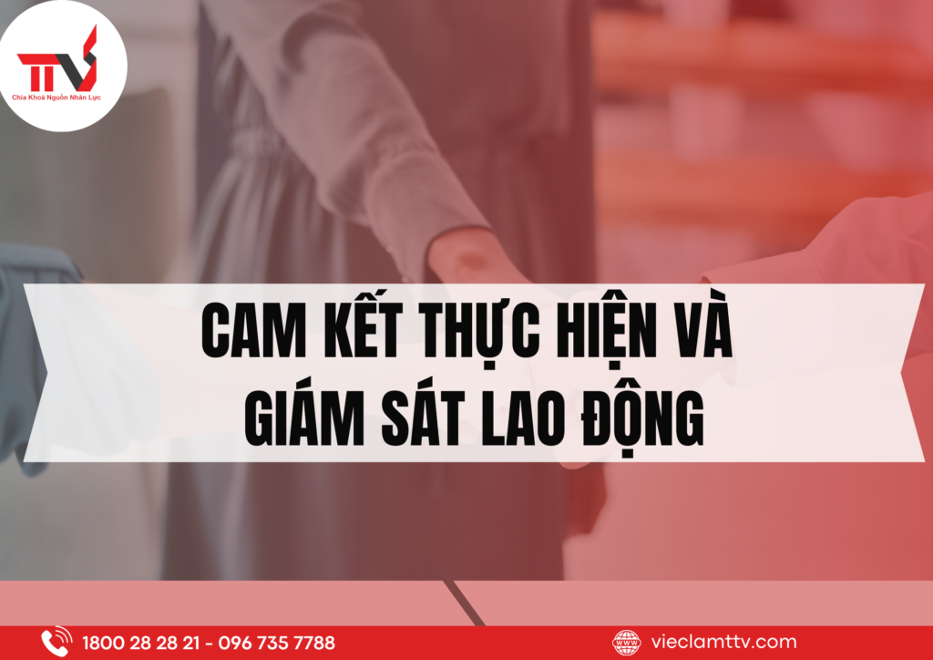 An toàn lao động và bảo vệ của người lao động 2024