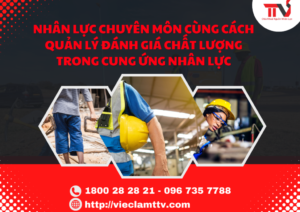 Nhân Lực Chuyên Môn Cùng Cách Quản Lý Đánh Giá Chất Lượng Trong Cung Ứng Nhân Lực