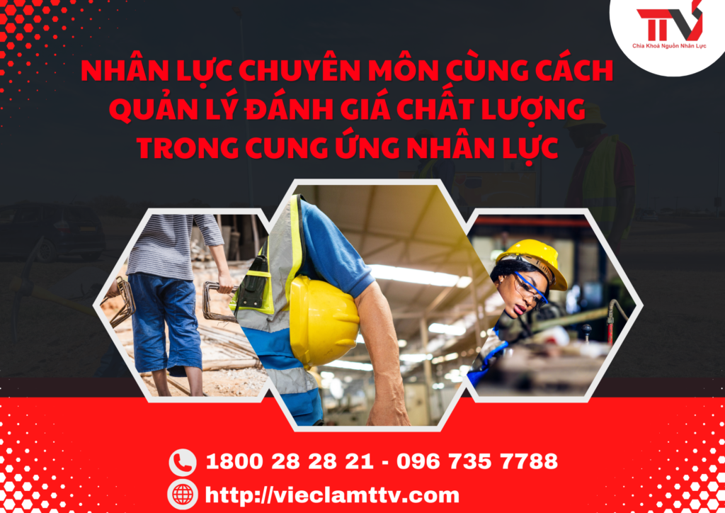 Nhân Lực Chuyên Môn Cùng Cách Quản Lý Đánh Giá Chất Lượng Trong Cung Ứng Nhân Lực
