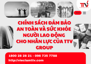 Chính sách đảm bảo an toàn và sức khỏe người lao động cho nhân lực của TTV Group