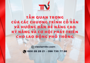 Tầm quan trọng của các chương trình cố vấn và hướng dẫn để nâng cao kỹ năng và cơ hội phát triển cho lao động phổ thông.