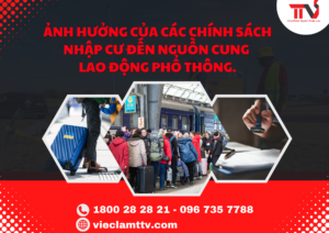 Ảnh hưởng của các chính sách nhập cư đến nguồn cung lao động phổ thông.