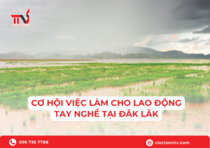 Cơ hội việc làm
