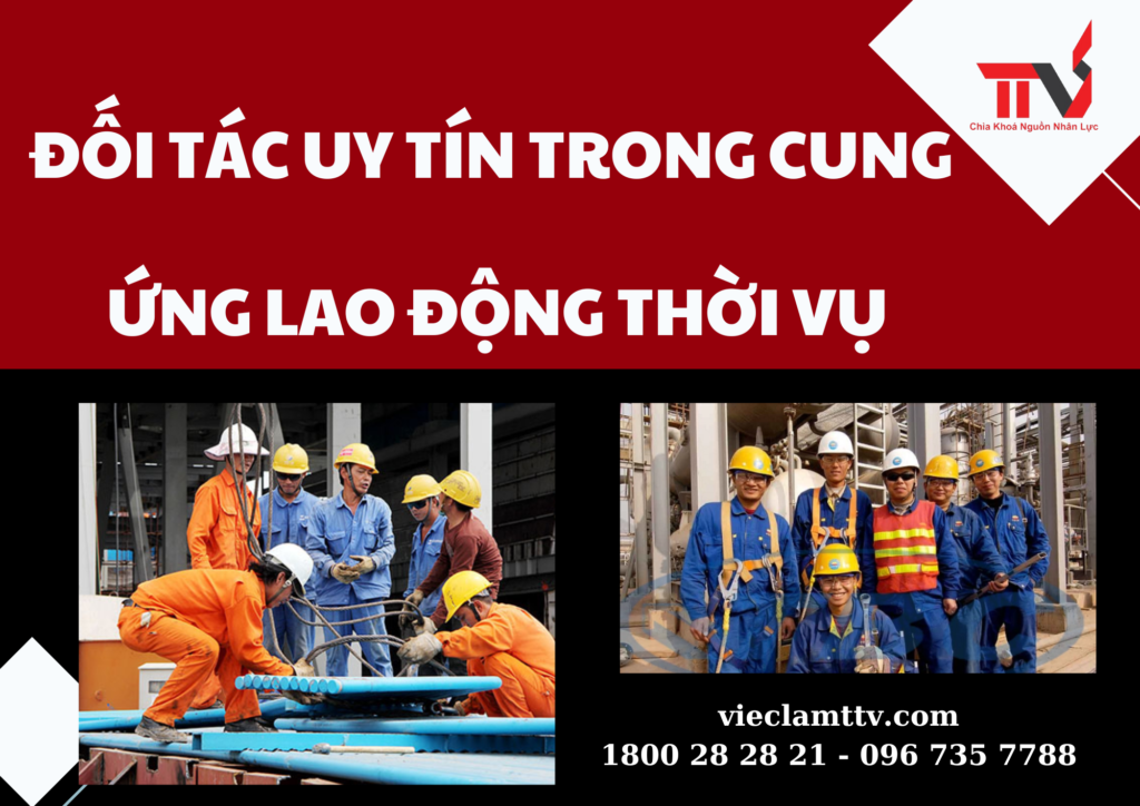ĐỐI TÁC UY TÍN TRONG CUNG ỨNG LAO ĐỘNG THỜI VỤ