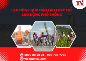 Lao Động Qua Đào Tạo Thay Thế Lao Động Phổ Thông