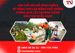 Làm thế nào để tăng cường kỹ năng cho lao động phổ thông thông qua các chương trình đào tạo ngắn hạn?