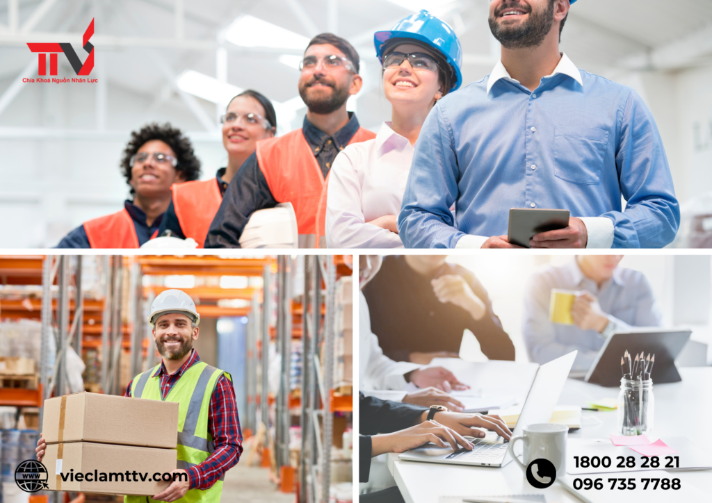 Xu Hướng Thị Trường Lao Động trong Kỷ Nguyên Số