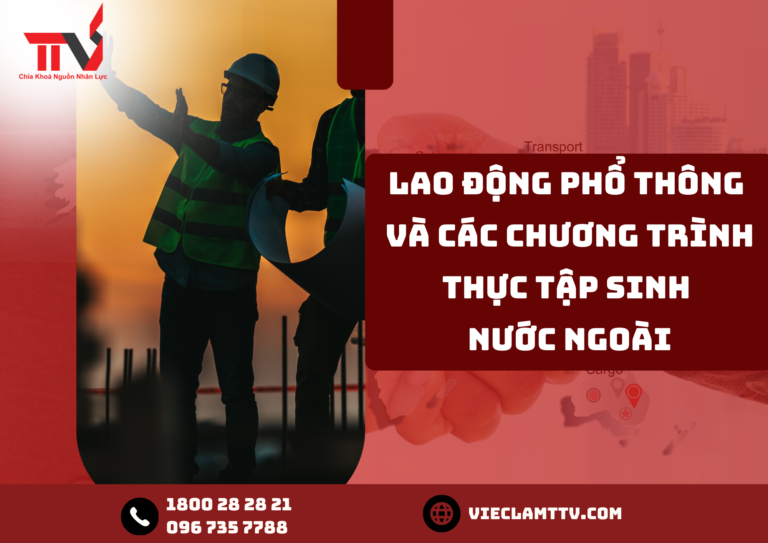 Lao động phổ thông và các chương trình thực tập sinh nước ngoài