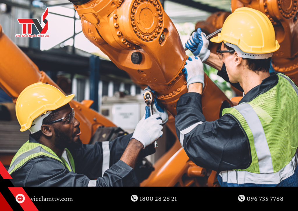 Tình hình thị trường lao động toàn cầu