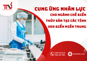 Cung ứng nhân lực miền Trung