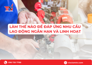 Làm thế nào để đáp ứng nhu cầu lao động ngắn hạn và linh hoạt